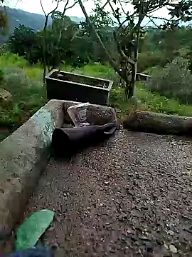 crazysex095 online show from January 2, 2025, 8:46 pm