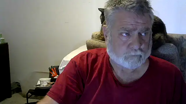 viejo oso online show from November 30, 2025, 4:11 pm