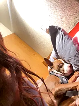 Snapshot of Dnasty408 chatting on October 18, 2025, 4:26 am Dnasty408 online show from October 18, 2025, 4:26 am