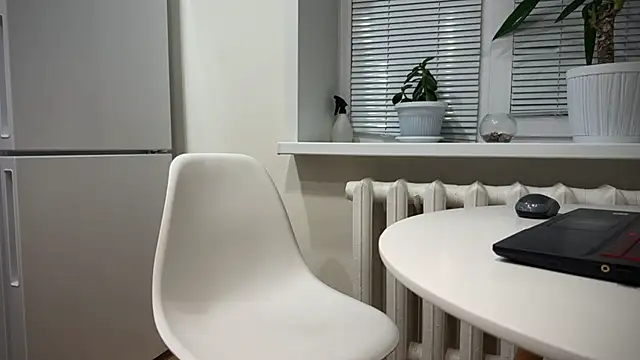 Snapshot of BrendanSilvers chatting on December 25, 2024, 11:20 pm BrendanSilvers online show from December 25, 2024, 11:20 pm