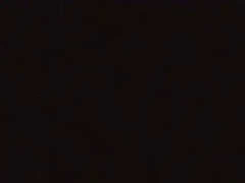 Snapshot of mlkpiranho25 chatting on January 9, 2025, 7:40 pm mlkpiranho25 online show from January 9, 2025, 7:40 pm