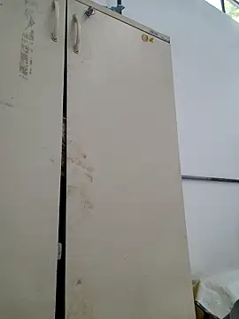 Snapshot of tesaodaweb chatting on February 21, 2026, 10:16 am tesaodaweb online show from February 21, 2026, 10:16 am