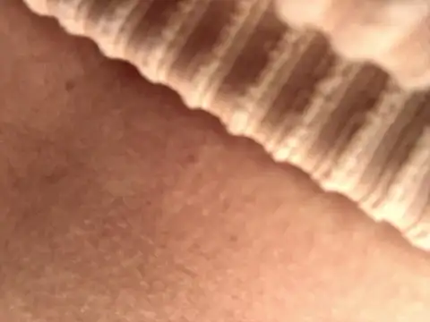 BELLA--26 online show from September 17, 2025, 1:46 pm