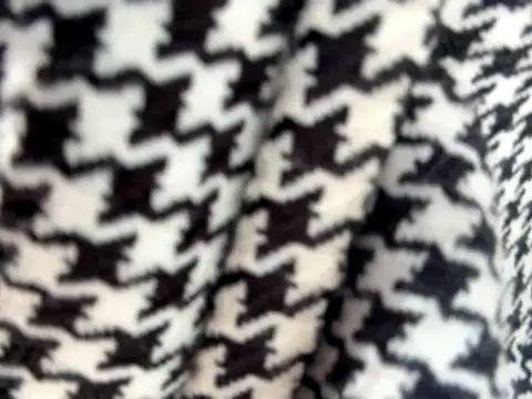 BELLA--26 online show from September 23, 2025, 1:36 pm