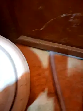 Snapshot of javierpasteur69 chatting on October 30, 2025, 5:31 am javierpasteur69 online show from October 30, 2025, 5:31 am