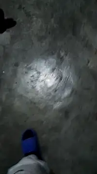 RODRI POLLADURA online show from January 6, 2025, 6:47 am