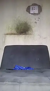 Kaizer1 online show from October 14, 2025, 6:20 pm