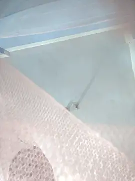 124pakhi online show from January 12, 2026, 3:17 pm