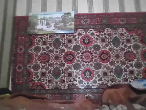 AlferezzSolvajo online show from March 9, 2025, 6:50 am