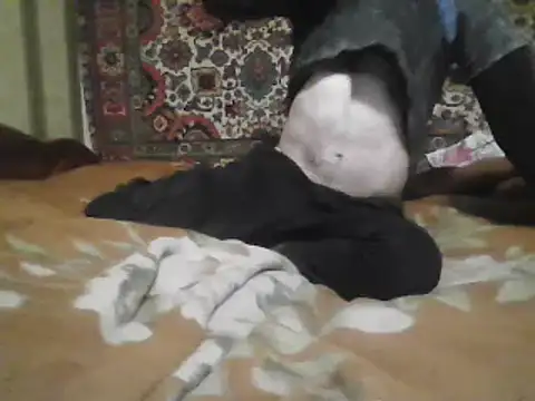 AlferezzSolvajo online show from March 21, 2025, 5:34 pm