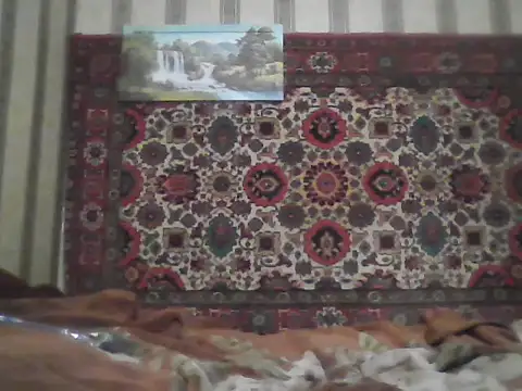 AlferezzSolvajo online show from September 13, 2025, 7:02 pm