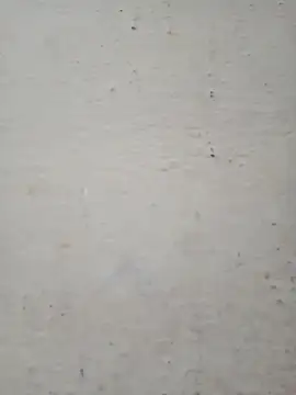 Pooja cut online show from December 17, 2025, 2:28 am