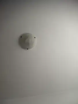 NNNoire online show from December 20, 2025, 10:33 am