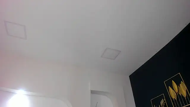 Snapshot of sara__jones_gh chatting on November 26, 2025, 4:41 pm sara jones gh online show from November 26, 2025, 4:41 pm