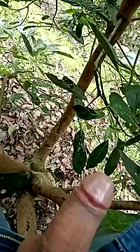 mmarvis za78 93 21cm online show from February 5, 2025, 8:14 pm