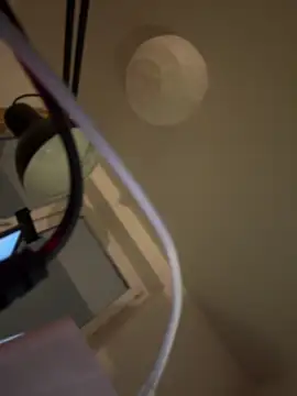 shiny bunnyyy online show from January 21, 2025, 5:09 pm