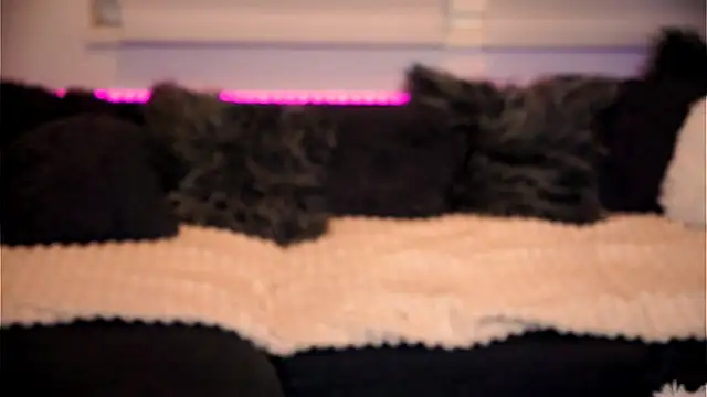 Snapshot of sweet_rapunzell chatting on February 6, 2026, 12:59 am sweet rapunzell online show from February 6, 2026, 12:59 am