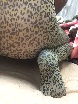 Snapshot of Skywalker69949 chatting on February 6, 2025, 2:55 am Skywalker69949 online show from February 6, 2025, 2:55 am