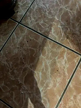 Lilymoonshow online show from September 18, 2025, 11:07 pm