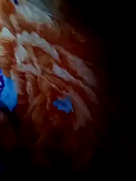 Snapshot of rameshjisex chatting on November 12, 2025, 1:17 am rameshjisex online show from November 12, 2025, 1:17 am