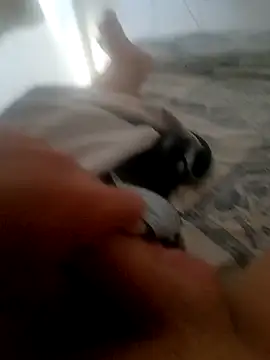 jacaranduba07 online show from January 14, 2025, 6:28 pm