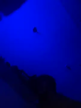 Snapshot of Raziv_komal143 chatting on February 25, 2025, 12:14 am Raziv komal143 online show from February 25, 2025, 12:14 am