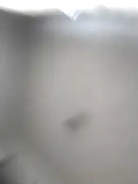 Snapshot of Godessofpleasxa chatting on December 16, 2025, 8:19 am Godessofpleasxa online show from December 16, 2025, 8:19 am