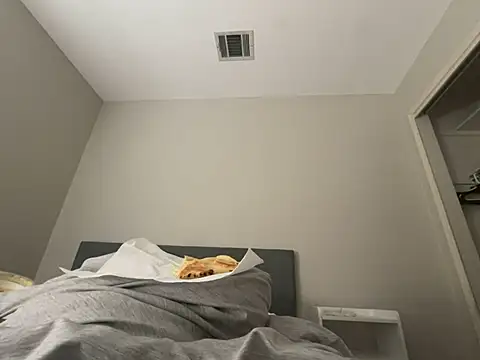 geld 88 online show from January 27, 2025, 5:37 pm