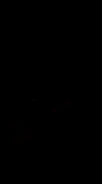 Raj41 online show from March 1, 2025, 5:05 pm