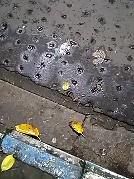 Raj41 online show from September 20, 2025, 1:45 pm