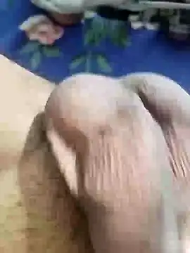 Playboy bhabhi 00 online show from February 1, 2025, 12:47 pm