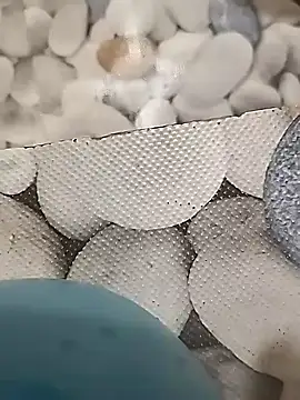 Playboy bhabhi 00 online show from February 14, 2025, 8:42 am