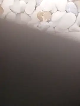 Playboy bhabhi 00 online show from February 20, 2025, 7:23 am