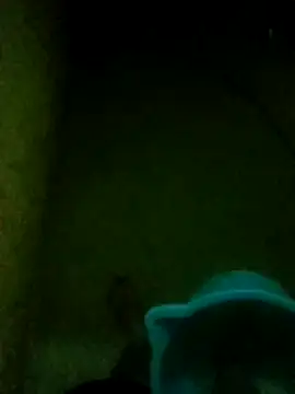 Snapshot of Night_View chatting on November 14, 2025, 5:33 pm Night View online show from November 14, 2025, 5:33 pm