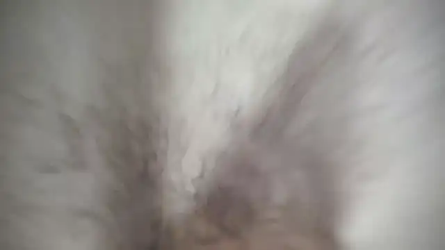 Snapshot of Ivyrose4999 chatting on January 12, 2025, 5:11 pm Ivyrose4999 online show from January 12, 2025, 5:11 pm