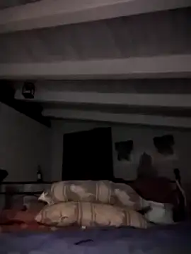 divinaerotica online show from November 2, 2025, 5:48 pm