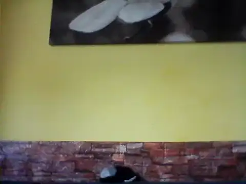 Snapshot of sexy_lady2 chatting on February 17, 2025, 10:07 am sexy lady2 online show from February 17, 2025, 10:07 am