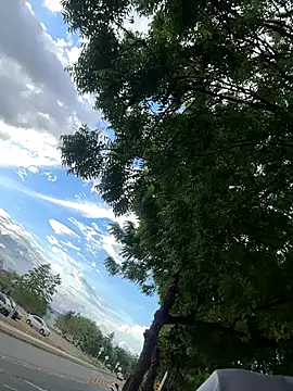 arevalo1124 online show from November 26, 2025, 9:27 pm