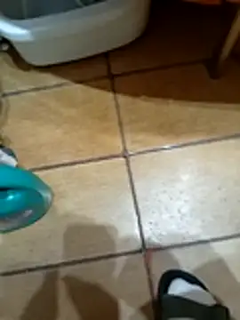 Snapshot of NAvoglia chatting on March 12, 2026, 11:55 pm NAvoglia online show from March 12, 2026, 11:55 pm