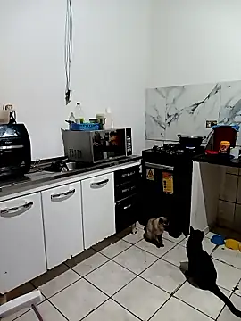 Snapshot of Pantaneirasexy chatting on November 27, 2025, 4:31 pm Pantaneirasexy online show from November 27, 2025, 4:31 pm