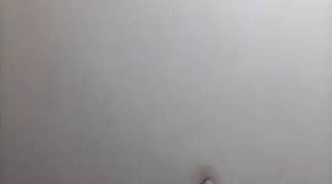 Snapshot of beatle666 chatting on February 26, 2025, 2:15 am beatle666 online show from February 26, 2025, 2:15 am