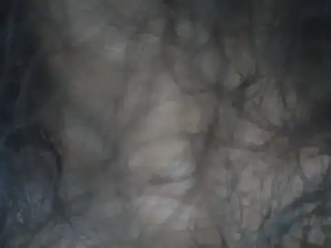 Snapshot of alexiaross96 chatting on March 13, 2026, 5:08 pm alexiaross96 online show from March 13, 2026, 5:08 pm