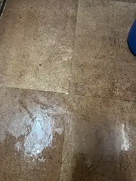 Snapshot of man16101 chatting on December 21, 2025, 1:40 pm man16101 online show from December 21, 2025, 1:40 pm