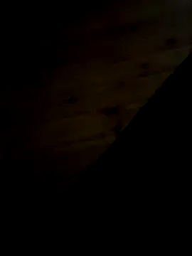 Snapshot of Arabian chatting on February 11, 2025, 9:46 pm Arabian online show from February 11, 2025, 9:46 pm