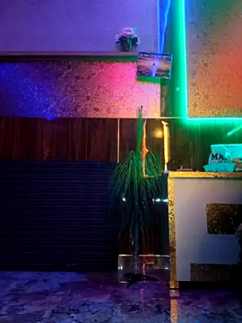 shnaz 1 online show from February 16, 2025, 10:54 am