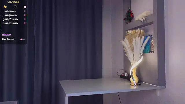 Snapshot of Hisoka_akerley chatting on February 22, 2025, 7:01 am Hisoka akerley online show from February 22, 2025, 7:01 am