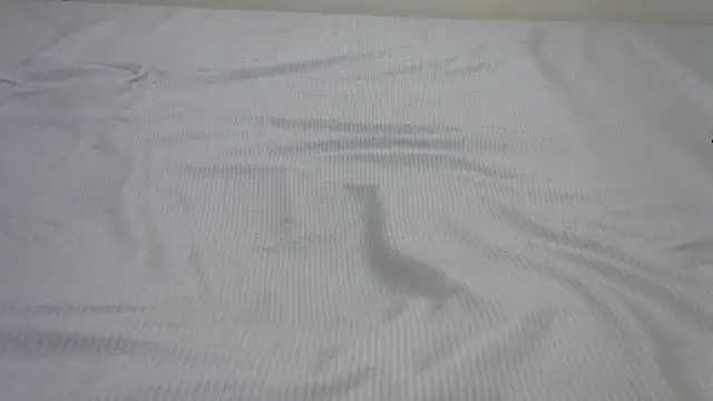 SweetTeaseX online show from February 13, 2025, 4:50 pm