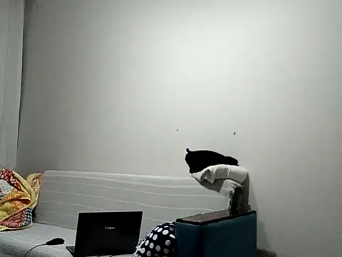 Snapshot of BellBort chatting on March 3, 2026, 7:42 pm BellBort online show from March 3, 2026, 7:42 pm