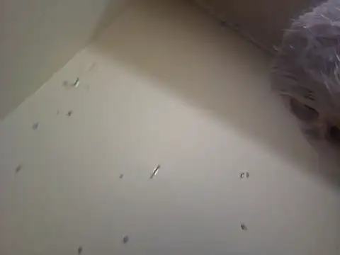 Louna45dv online show from February 18, 2025, 8:14 pm