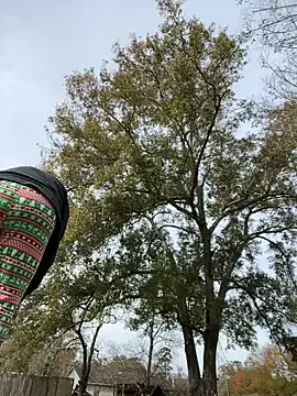 HTXBELLE online show from December 16, 2025, 5:07 pm